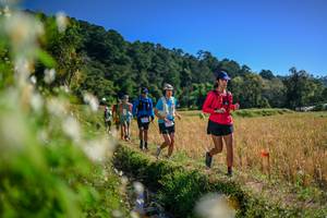 BIB: 
                            <button type="button" onclick="openModal(26574635)" class="btn btn-primary btn-sm float-right btn-popup" data-toggle="modal" data-target=".modal-high-quality">
                        <i class="fas fa-shopping-cart"></i> Add to Cart
                    </button>
                                            <button type="button" onclick="isThisMe(26574635, true)" class="btn btn-success btn-sm float-right btn-popup btn-isme hidden" data-toggle="tooltip" data-placement="bottom" title="นี่คือรูปของคุณใช่ไหม คลิกที่นี่เพื่อเอาเข้าอัลบั้ม">
                        <i class="fas fa-plus"></i> Add to album
                    </button>
                    <button type="button" onclick="isThisMe(26574635, false)" class="btn btn-warning btn-sm float-right btn-popup btn-isnotme hidden">
                        <i class="fas fa-ban"></i> Remove from album
                    </button>