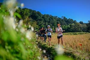 BIB: 
                            <button type="button" onclick="openModal(26572361)" class="btn btn-primary btn-sm float-right btn-popup" data-toggle="modal" data-target=".modal-high-quality">
                        <i class="fas fa-shopping-cart"></i> Add to Cart
                    </button>
                                            <button type="button" onclick="isThisMe(26572361, true)" class="btn btn-success btn-sm float-right btn-popup btn-isme hidden" data-toggle="tooltip" data-placement="bottom" title="นี่คือรูปของคุณใช่ไหม คลิกที่นี่เพื่อเอาเข้าอัลบั้ม">
                        <i class="fas fa-plus"></i> Add to album
                    </button>
                    <button type="button" onclick="isThisMe(26572361, false)" class="btn btn-warning btn-sm float-right btn-popup btn-isnotme hidden">
                        <i class="fas fa-ban"></i> Remove from album
                    </button>