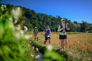 BIB: 
                            <button type="button" onclick="openModal(26575606)" class="btn btn-primary btn-sm float-right btn-popup" data-toggle="modal" data-target=".modal-high-quality">
                        <i class="fas fa-shopping-cart"></i> Add to Cart
                    </button>
                                            <button type="button" onclick="isThisMe(26575606, true)" class="btn btn-success btn-sm float-right btn-popup btn-isme hidden" data-toggle="tooltip" data-placement="bottom" title="นี่คือรูปของคุณใช่ไหม คลิกที่นี่เพื่อเอาเข้าอัลบั้ม">
                        <i class="fas fa-plus"></i> Add to album
                    </button>
                    <button type="button" onclick="isThisMe(26575606, false)" class="btn btn-warning btn-sm float-right btn-popup btn-isnotme hidden">
                        <i class="fas fa-ban"></i> Remove from album
                    </button>