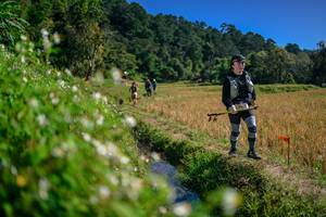 BIB: 
                            <button type="button" onclick="openModal(26581759)" class="btn btn-primary btn-sm float-right btn-popup" data-toggle="modal" data-target=".modal-high-quality">
                        <i class="fas fa-shopping-cart"></i> Add to Cart
                    </button>
                                            <button type="button" onclick="isThisMe(26581759, true)" class="btn btn-success btn-sm float-right btn-popup btn-isme hidden" data-toggle="tooltip" data-placement="bottom" title="นี่คือรูปของคุณใช่ไหม คลิกที่นี่เพื่อเอาเข้าอัลบั้ม">
                        <i class="fas fa-plus"></i> Add to album
                    </button>
                    <button type="button" onclick="isThisMe(26581759, false)" class="btn btn-warning btn-sm float-right btn-popup btn-isnotme hidden">
                        <i class="fas fa-ban"></i> Remove from album
                    </button>