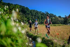 BIB: 
                            <button type="button" onclick="openModal(26575546)" class="btn btn-primary btn-sm float-right btn-popup" data-toggle="modal" data-target=".modal-high-quality">
                        <i class="fas fa-shopping-cart"></i> Add to Cart
                    </button>
                                            <button type="button" onclick="isThisMe(26575546, true)" class="btn btn-success btn-sm float-right btn-popup btn-isme hidden" data-toggle="tooltip" data-placement="bottom" title="นี่คือรูปของคุณใช่ไหม คลิกที่นี่เพื่อเอาเข้าอัลบั้ม">
                        <i class="fas fa-plus"></i> Add to album
                    </button>
                    <button type="button" onclick="isThisMe(26575546, false)" class="btn btn-warning btn-sm float-right btn-popup btn-isnotme hidden">
                        <i class="fas fa-ban"></i> Remove from album
                    </button>