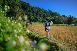 BIB: 
                            <button type="button" onclick="openModal(26576174)" class="btn btn-primary btn-sm float-right btn-popup" data-toggle="modal" data-target=".modal-high-quality">
                        <i class="fas fa-shopping-cart"></i> Add to Cart
                    </button>
                                            <button type="button" onclick="isThisMe(26576174, true)" class="btn btn-success btn-sm float-right btn-popup btn-isme hidden" data-toggle="tooltip" data-placement="bottom" title="นี่คือรูปของคุณใช่ไหม คลิกที่นี่เพื่อเอาเข้าอัลบั้ม">
                        <i class="fas fa-plus"></i> Add to album
                    </button>
                    <button type="button" onclick="isThisMe(26576174, false)" class="btn btn-warning btn-sm float-right btn-popup btn-isnotme hidden">
                        <i class="fas fa-ban"></i> Remove from album
                    </button>