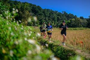 BIB: 
                            <button type="button" onclick="openModal(26582287)" class="btn btn-primary btn-sm float-right btn-popup" data-toggle="modal" data-target=".modal-high-quality">
                        <i class="fas fa-shopping-cart"></i> Add to Cart
                    </button>
                                            <button type="button" onclick="isThisMe(26582287, true)" class="btn btn-success btn-sm float-right btn-popup btn-isme hidden" data-toggle="tooltip" data-placement="bottom" title="นี่คือรูปของคุณใช่ไหม คลิกที่นี่เพื่อเอาเข้าอัลบั้ม">
                        <i class="fas fa-plus"></i> Add to album
                    </button>
                    <button type="button" onclick="isThisMe(26582287, false)" class="btn btn-warning btn-sm float-right btn-popup btn-isnotme hidden">
                        <i class="fas fa-ban"></i> Remove from album
                    </button>