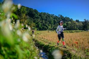 BIB: 
                            <button type="button" onclick="openModal(26572466)" class="btn btn-primary btn-sm float-right btn-popup" data-toggle="modal" data-target=".modal-high-quality">
                        <i class="fas fa-shopping-cart"></i> Add to Cart
                    </button>
                                            <button type="button" onclick="isThisMe(26572466, true)" class="btn btn-success btn-sm float-right btn-popup btn-isme hidden" data-toggle="tooltip" data-placement="bottom" title="นี่คือรูปของคุณใช่ไหม คลิกที่นี่เพื่อเอาเข้าอัลบั้ม">
                        <i class="fas fa-plus"></i> Add to album
                    </button>
                    <button type="button" onclick="isThisMe(26572466, false)" class="btn btn-warning btn-sm float-right btn-popup btn-isnotme hidden">
                        <i class="fas fa-ban"></i> Remove from album
                    </button>