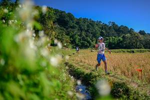 BIB: 
                            <button type="button" onclick="openModal(26572876)" class="btn btn-primary btn-sm float-right btn-popup" data-toggle="modal" data-target=".modal-high-quality">
                        <i class="fas fa-shopping-cart"></i> Add to Cart
                    </button>
                                            <button type="button" onclick="isThisMe(26572876, true)" class="btn btn-success btn-sm float-right btn-popup btn-isme hidden" data-toggle="tooltip" data-placement="bottom" title="นี่คือรูปของคุณใช่ไหม คลิกที่นี่เพื่อเอาเข้าอัลบั้ม">
                        <i class="fas fa-plus"></i> Add to album
                    </button>
                    <button type="button" onclick="isThisMe(26572876, false)" class="btn btn-warning btn-sm float-right btn-popup btn-isnotme hidden">
                        <i class="fas fa-ban"></i> Remove from album
                    </button>