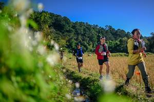 BIB: 
                            <button type="button" onclick="openModal(26573080)" class="btn btn-primary btn-sm float-right btn-popup" data-toggle="modal" data-target=".modal-high-quality">
                        <i class="fas fa-shopping-cart"></i> Add to Cart
                    </button>
                                            <button type="button" onclick="isThisMe(26573080, true)" class="btn btn-success btn-sm float-right btn-popup btn-isme hidden" data-toggle="tooltip" data-placement="bottom" title="นี่คือรูปของคุณใช่ไหม คลิกที่นี่เพื่อเอาเข้าอัลบั้ม">
                        <i class="fas fa-plus"></i> Add to album
                    </button>
                    <button type="button" onclick="isThisMe(26573080, false)" class="btn btn-warning btn-sm float-right btn-popup btn-isnotme hidden">
                        <i class="fas fa-ban"></i> Remove from album
                    </button>