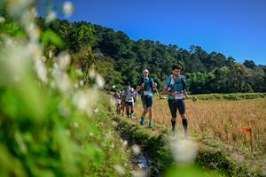 BIB: 
                            <button type="button" onclick="openModal(26573254)" class="btn btn-primary btn-sm float-right btn-popup" data-toggle="modal" data-target=".modal-high-quality">
                        <i class="fas fa-shopping-cart"></i> Add to Cart
                    </button>
                                            <button type="button" onclick="isThisMe(26573254, true)" class="btn btn-success btn-sm float-right btn-popup btn-isme hidden" data-toggle="tooltip" data-placement="bottom" title="นี่คือรูปของคุณใช่ไหม คลิกที่นี่เพื่อเอาเข้าอัลบั้ม">
                        <i class="fas fa-plus"></i> Add to album
                    </button>
                    <button type="button" onclick="isThisMe(26573254, false)" class="btn btn-warning btn-sm float-right btn-popup btn-isnotme hidden">
                        <i class="fas fa-ban"></i> Remove from album
                    </button>