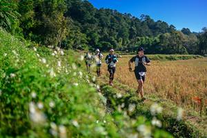 BIB: 
                            <button type="button" onclick="openModal(26571287)" class="btn btn-primary btn-sm float-right btn-popup" data-toggle="modal" data-target=".modal-high-quality">
                        <i class="fas fa-shopping-cart"></i> Add to Cart
                    </button>
                                            <button type="button" onclick="isThisMe(26571287, true)" class="btn btn-success btn-sm float-right btn-popup btn-isme hidden" data-toggle="tooltip" data-placement="bottom" title="นี่คือรูปของคุณใช่ไหม คลิกที่นี่เพื่อเอาเข้าอัลบั้ม">
                        <i class="fas fa-plus"></i> Add to album
                    </button>
                    <button type="button" onclick="isThisMe(26571287, false)" class="btn btn-warning btn-sm float-right btn-popup btn-isnotme hidden">
                        <i class="fas fa-ban"></i> Remove from album
                    </button>