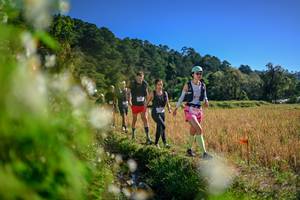 BIB: 
                            <button type="button" onclick="openModal(26574110)" class="btn btn-primary btn-sm float-right btn-popup" data-toggle="modal" data-target=".modal-high-quality">
                        <i class="fas fa-shopping-cart"></i> Add to Cart
                    </button>
                                            <button type="button" onclick="isThisMe(26574110, true)" class="btn btn-success btn-sm float-right btn-popup btn-isme hidden" data-toggle="tooltip" data-placement="bottom" title="นี่คือรูปของคุณใช่ไหม คลิกที่นี่เพื่อเอาเข้าอัลบั้ม">
                        <i class="fas fa-plus"></i> Add to album
                    </button>
                    <button type="button" onclick="isThisMe(26574110, false)" class="btn btn-warning btn-sm float-right btn-popup btn-isnotme hidden">
                        <i class="fas fa-ban"></i> Remove from album
                    </button>