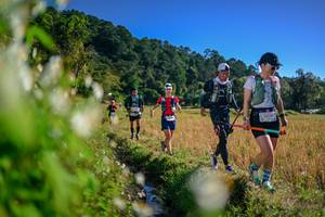 BIB: 
                            <button type="button" onclick="openModal(26572535)" class="btn btn-primary btn-sm float-right btn-popup" data-toggle="modal" data-target=".modal-high-quality">
                        <i class="fas fa-shopping-cart"></i> Add to Cart
                    </button>
                                            <button type="button" onclick="isThisMe(26572535, true)" class="btn btn-success btn-sm float-right btn-popup btn-isme hidden" data-toggle="tooltip" data-placement="bottom" title="นี่คือรูปของคุณใช่ไหม คลิกที่นี่เพื่อเอาเข้าอัลบั้ม">
                        <i class="fas fa-plus"></i> Add to album
                    </button>
                    <button type="button" onclick="isThisMe(26572535, false)" class="btn btn-warning btn-sm float-right btn-popup btn-isnotme hidden">
                        <i class="fas fa-ban"></i> Remove from album
                    </button>