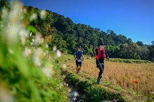 BIB: 
                            <button type="button" onclick="openModal(26571481)" class="btn btn-primary btn-sm float-right btn-popup" data-toggle="modal" data-target=".modal-high-quality">
                        <i class="fas fa-shopping-cart"></i> Add to Cart
                    </button>
                                            <button type="button" onclick="isThisMe(26571481, true)" class="btn btn-success btn-sm float-right btn-popup btn-isme hidden" data-toggle="tooltip" data-placement="bottom" title="นี่คือรูปของคุณใช่ไหม คลิกที่นี่เพื่อเอาเข้าอัลบั้ม">
                        <i class="fas fa-plus"></i> Add to album
                    </button>
                    <button type="button" onclick="isThisMe(26571481, false)" class="btn btn-warning btn-sm float-right btn-popup btn-isnotme hidden">
                        <i class="fas fa-ban"></i> Remove from album
                    </button>