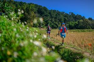 BIB: 
                            <button type="button" onclick="openModal(26581968)" class="btn btn-primary btn-sm float-right btn-popup" data-toggle="modal" data-target=".modal-high-quality">
                        <i class="fas fa-shopping-cart"></i> Add to Cart
                    </button>
                                            <button type="button" onclick="isThisMe(26581968, true)" class="btn btn-success btn-sm float-right btn-popup btn-isme hidden" data-toggle="tooltip" data-placement="bottom" title="นี่คือรูปของคุณใช่ไหม คลิกที่นี่เพื่อเอาเข้าอัลบั้ม">
                        <i class="fas fa-plus"></i> Add to album
                    </button>
                    <button type="button" onclick="isThisMe(26581968, false)" class="btn btn-warning btn-sm float-right btn-popup btn-isnotme hidden">
                        <i class="fas fa-ban"></i> Remove from album
                    </button>