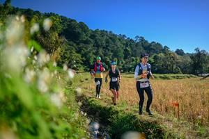 BIB: 
                            <button type="button" onclick="openModal(26571619)" class="btn btn-primary btn-sm float-right btn-popup" data-toggle="modal" data-target=".modal-high-quality">
                        <i class="fas fa-shopping-cart"></i> Add to Cart
                    </button>
                                            <button type="button" onclick="isThisMe(26571619, true)" class="btn btn-success btn-sm float-right btn-popup btn-isme hidden" data-toggle="tooltip" data-placement="bottom" title="นี่คือรูปของคุณใช่ไหม คลิกที่นี่เพื่อเอาเข้าอัลบั้ม">
                        <i class="fas fa-plus"></i> Add to album
                    </button>
                    <button type="button" onclick="isThisMe(26571619, false)" class="btn btn-warning btn-sm float-right btn-popup btn-isnotme hidden">
                        <i class="fas fa-ban"></i> Remove from album
                    </button>