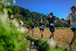 BIB: 
                            <button type="button" onclick="openModal(26575106)" class="btn btn-primary btn-sm float-right btn-popup" data-toggle="modal" data-target=".modal-high-quality">
                        <i class="fas fa-shopping-cart"></i> Add to Cart
                    </button>
                                            <button type="button" onclick="isThisMe(26575106, true)" class="btn btn-success btn-sm float-right btn-popup btn-isme hidden" data-toggle="tooltip" data-placement="bottom" title="นี่คือรูปของคุณใช่ไหม คลิกที่นี่เพื่อเอาเข้าอัลบั้ม">
                        <i class="fas fa-plus"></i> Add to album
                    </button>
                    <button type="button" onclick="isThisMe(26575106, false)" class="btn btn-warning btn-sm float-right btn-popup btn-isnotme hidden">
                        <i class="fas fa-ban"></i> Remove from album
                    </button>