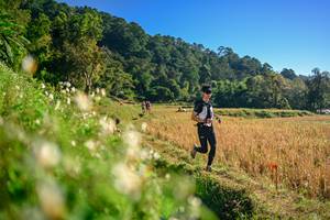 BIB: 
                            <button type="button" onclick="openModal(26570636)" class="btn btn-primary btn-sm float-right btn-popup" data-toggle="modal" data-target=".modal-high-quality">
                        <i class="fas fa-shopping-cart"></i> Add to Cart
                    </button>
                                            <button type="button" onclick="isThisMe(26570636, true)" class="btn btn-success btn-sm float-right btn-popup btn-isme hidden" data-toggle="tooltip" data-placement="bottom" title="นี่คือรูปของคุณใช่ไหม คลิกที่นี่เพื่อเอาเข้าอัลบั้ม">
                        <i class="fas fa-plus"></i> Add to album
                    </button>
                    <button type="button" onclick="isThisMe(26570636, false)" class="btn btn-warning btn-sm float-right btn-popup btn-isnotme hidden">
                        <i class="fas fa-ban"></i> Remove from album
                    </button>