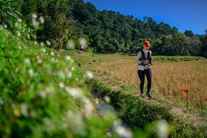 BIB: 
                            <button type="button" onclick="openModal(26581791)" class="btn btn-primary btn-sm float-right btn-popup" data-toggle="modal" data-target=".modal-high-quality">
                        <i class="fas fa-shopping-cart"></i> Add to Cart
                    </button>
                                            <button type="button" onclick="isThisMe(26581791, true)" class="btn btn-success btn-sm float-right btn-popup btn-isme hidden" data-toggle="tooltip" data-placement="bottom" title="นี่คือรูปของคุณใช่ไหม คลิกที่นี่เพื่อเอาเข้าอัลบั้ม">
                        <i class="fas fa-plus"></i> Add to album
                    </button>
                    <button type="button" onclick="isThisMe(26581791, false)" class="btn btn-warning btn-sm float-right btn-popup btn-isnotme hidden">
                        <i class="fas fa-ban"></i> Remove from album
                    </button>