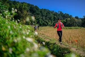 BIB: 
                            <button type="button" onclick="openModal(26582273)" class="btn btn-primary btn-sm float-right btn-popup" data-toggle="modal" data-target=".modal-high-quality">
                        <i class="fas fa-shopping-cart"></i> Add to Cart
                    </button>
                                            <button type="button" onclick="isThisMe(26582273, true)" class="btn btn-success btn-sm float-right btn-popup btn-isme hidden" data-toggle="tooltip" data-placement="bottom" title="นี่คือรูปของคุณใช่ไหม คลิกที่นี่เพื่อเอาเข้าอัลบั้ม">
                        <i class="fas fa-plus"></i> Add to album
                    </button>
                    <button type="button" onclick="isThisMe(26582273, false)" class="btn btn-warning btn-sm float-right btn-popup btn-isnotme hidden">
                        <i class="fas fa-ban"></i> Remove from album
                    </button>