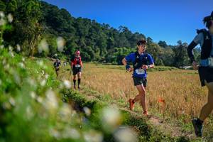 BIB: 
                            <button type="button" onclick="openModal(26576118)" class="btn btn-primary btn-sm float-right btn-popup" data-toggle="modal" data-target=".modal-high-quality">
                        <i class="fas fa-shopping-cart"></i> Add to Cart
                    </button>
                                            <button type="button" onclick="isThisMe(26576118, true)" class="btn btn-success btn-sm float-right btn-popup btn-isme hidden" data-toggle="tooltip" data-placement="bottom" title="นี่คือรูปของคุณใช่ไหม คลิกที่นี่เพื่อเอาเข้าอัลบั้ม">
                        <i class="fas fa-plus"></i> Add to album
                    </button>
                    <button type="button" onclick="isThisMe(26576118, false)" class="btn btn-warning btn-sm float-right btn-popup btn-isnotme hidden">
                        <i class="fas fa-ban"></i> Remove from album
                    </button>