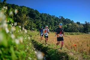 BIB: 
                            <button type="button" onclick="openModal(26573146)" class="btn btn-primary btn-sm float-right btn-popup" data-toggle="modal" data-target=".modal-high-quality">
                        <i class="fas fa-shopping-cart"></i> Add to Cart
                    </button>
                                            <button type="button" onclick="isThisMe(26573146, true)" class="btn btn-success btn-sm float-right btn-popup btn-isme hidden" data-toggle="tooltip" data-placement="bottom" title="นี่คือรูปของคุณใช่ไหม คลิกที่นี่เพื่อเอาเข้าอัลบั้ม">
                        <i class="fas fa-plus"></i> Add to album
                    </button>
                    <button type="button" onclick="isThisMe(26573146, false)" class="btn btn-warning btn-sm float-right btn-popup btn-isnotme hidden">
                        <i class="fas fa-ban"></i> Remove from album
                    </button>