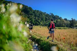 BIB: 
                            <button type="button" onclick="openModal(26571596)" class="btn btn-primary btn-sm float-right btn-popup" data-toggle="modal" data-target=".modal-high-quality">
                        <i class="fas fa-shopping-cart"></i> Add to Cart
                    </button>
                                            <button type="button" onclick="isThisMe(26571596, true)" class="btn btn-success btn-sm float-right btn-popup btn-isme hidden" data-toggle="tooltip" data-placement="bottom" title="นี่คือรูปของคุณใช่ไหม คลิกที่นี่เพื่อเอาเข้าอัลบั้ม">
                        <i class="fas fa-plus"></i> Add to album
                    </button>
                    <button type="button" onclick="isThisMe(26571596, false)" class="btn btn-warning btn-sm float-right btn-popup btn-isnotme hidden">
                        <i class="fas fa-ban"></i> Remove from album
                    </button>