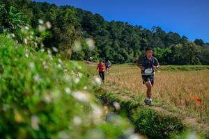 BIB: 
                            <button type="button" onclick="openModal(26582263)" class="btn btn-primary btn-sm float-right btn-popup" data-toggle="modal" data-target=".modal-high-quality">
                        <i class="fas fa-shopping-cart"></i> Add to Cart
                    </button>
                                            <button type="button" onclick="isThisMe(26582263, true)" class="btn btn-success btn-sm float-right btn-popup btn-isme hidden" data-toggle="tooltip" data-placement="bottom" title="นี่คือรูปของคุณใช่ไหม คลิกที่นี่เพื่อเอาเข้าอัลบั้ม">
                        <i class="fas fa-plus"></i> Add to album
                    </button>
                    <button type="button" onclick="isThisMe(26582263, false)" class="btn btn-warning btn-sm float-right btn-popup btn-isnotme hidden">
                        <i class="fas fa-ban"></i> Remove from album
                    </button>