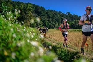 BIB: 
                            <button type="button" onclick="openModal(26582121)" class="btn btn-primary btn-sm float-right btn-popup" data-toggle="modal" data-target=".modal-high-quality">
                        <i class="fas fa-shopping-cart"></i> Add to Cart
                    </button>
                                            <button type="button" onclick="isThisMe(26582121, true)" class="btn btn-success btn-sm float-right btn-popup btn-isme hidden" data-toggle="tooltip" data-placement="bottom" title="นี่คือรูปของคุณใช่ไหม คลิกที่นี่เพื่อเอาเข้าอัลบั้ม">
                        <i class="fas fa-plus"></i> Add to album
                    </button>
                    <button type="button" onclick="isThisMe(26582121, false)" class="btn btn-warning btn-sm float-right btn-popup btn-isnotme hidden">
                        <i class="fas fa-ban"></i> Remove from album
                    </button>