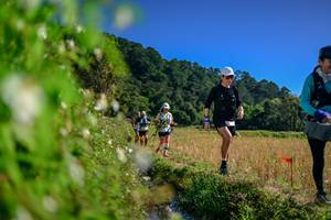 BIB: 
                            <button type="button" onclick="openModal(26580413)" class="btn btn-primary btn-sm float-right btn-popup" data-toggle="modal" data-target=".modal-high-quality">
                        <i class="fas fa-shopping-cart"></i> Add to Cart
                    </button>
                                            <button type="button" onclick="isThisMe(26580413, true)" class="btn btn-success btn-sm float-right btn-popup btn-isme hidden" data-toggle="tooltip" data-placement="bottom" title="นี่คือรูปของคุณใช่ไหม คลิกที่นี่เพื่อเอาเข้าอัลบั้ม">
                        <i class="fas fa-plus"></i> Add to album
                    </button>
                    <button type="button" onclick="isThisMe(26580413, false)" class="btn btn-warning btn-sm float-right btn-popup btn-isnotme hidden">
                        <i class="fas fa-ban"></i> Remove from album
                    </button>