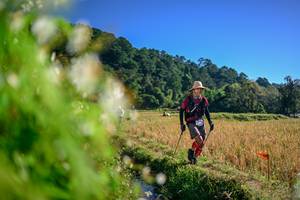 BIB: 
                            <button type="button" onclick="openModal(26572006)" class="btn btn-primary btn-sm float-right btn-popup" data-toggle="modal" data-target=".modal-high-quality">
                        <i class="fas fa-shopping-cart"></i> Add to Cart
                    </button>
                                            <button type="button" onclick="isThisMe(26572006, true)" class="btn btn-success btn-sm float-right btn-popup btn-isme hidden" data-toggle="tooltip" data-placement="bottom" title="นี่คือรูปของคุณใช่ไหม คลิกที่นี่เพื่อเอาเข้าอัลบั้ม">
                        <i class="fas fa-plus"></i> Add to album
                    </button>
                    <button type="button" onclick="isThisMe(26572006, false)" class="btn btn-warning btn-sm float-right btn-popup btn-isnotme hidden">
                        <i class="fas fa-ban"></i> Remove from album
                    </button>