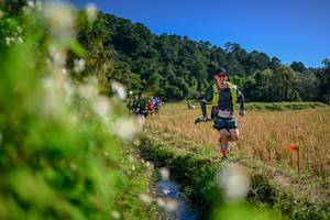 BIB: 
                            <button type="button" onclick="openModal(26574574)" class="btn btn-primary btn-sm float-right btn-popup" data-toggle="modal" data-target=".modal-high-quality">
                        <i class="fas fa-shopping-cart"></i> Add to Cart
                    </button>
                                            <button type="button" onclick="isThisMe(26574574, true)" class="btn btn-success btn-sm float-right btn-popup btn-isme hidden" data-toggle="tooltip" data-placement="bottom" title="นี่คือรูปของคุณใช่ไหม คลิกที่นี่เพื่อเอาเข้าอัลบั้ม">
                        <i class="fas fa-plus"></i> Add to album
                    </button>
                    <button type="button" onclick="isThisMe(26574574, false)" class="btn btn-warning btn-sm float-right btn-popup btn-isnotme hidden">
                        <i class="fas fa-ban"></i> Remove from album
                    </button>