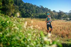 BIB: 
                            <button type="button" onclick="openModal(26570265)" class="btn btn-primary btn-sm float-right btn-popup" data-toggle="modal" data-target=".modal-high-quality">
                        <i class="fas fa-shopping-cart"></i> Add to Cart
                    </button>
                                            <button type="button" onclick="isThisMe(26570265, true)" class="btn btn-success btn-sm float-right btn-popup btn-isme hidden" data-toggle="tooltip" data-placement="bottom" title="นี่คือรูปของคุณใช่ไหม คลิกที่นี่เพื่อเอาเข้าอัลบั้ม">
                        <i class="fas fa-plus"></i> Add to album
                    </button>
                    <button type="button" onclick="isThisMe(26570265, false)" class="btn btn-warning btn-sm float-right btn-popup btn-isnotme hidden">
                        <i class="fas fa-ban"></i> Remove from album
                    </button>