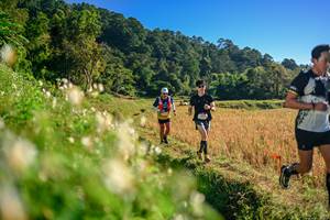 BIB: 
                            <button type="button" onclick="openModal(26570685)" class="btn btn-primary btn-sm float-right btn-popup" data-toggle="modal" data-target=".modal-high-quality">
                        <i class="fas fa-shopping-cart"></i> Add to Cart
                    </button>
                                            <button type="button" onclick="isThisMe(26570685, true)" class="btn btn-success btn-sm float-right btn-popup btn-isme hidden" data-toggle="tooltip" data-placement="bottom" title="นี่คือรูปของคุณใช่ไหม คลิกที่นี่เพื่อเอาเข้าอัลบั้ม">
                        <i class="fas fa-plus"></i> Add to album
                    </button>
                    <button type="button" onclick="isThisMe(26570685, false)" class="btn btn-warning btn-sm float-right btn-popup btn-isnotme hidden">
                        <i class="fas fa-ban"></i> Remove from album
                    </button>