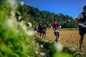 BIB: 
                            <button type="button" onclick="openModal(26574602)" class="btn btn-primary btn-sm float-right btn-popup" data-toggle="modal" data-target=".modal-high-quality">
                        <i class="fas fa-shopping-cart"></i> Add to Cart
                    </button>
                                            <button type="button" onclick="isThisMe(26574602, true)" class="btn btn-success btn-sm float-right btn-popup btn-isme hidden" data-toggle="tooltip" data-placement="bottom" title="นี่คือรูปของคุณใช่ไหม คลิกที่นี่เพื่อเอาเข้าอัลบั้ม">
                        <i class="fas fa-plus"></i> Add to album
                    </button>
                    <button type="button" onclick="isThisMe(26574602, false)" class="btn btn-warning btn-sm float-right btn-popup btn-isnotme hidden">
                        <i class="fas fa-ban"></i> Remove from album
                    </button>