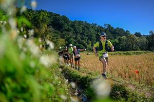 BIB: 
                            <button type="button" onclick="openModal(26574012)" class="btn btn-primary btn-sm float-right btn-popup" data-toggle="modal" data-target=".modal-high-quality">
                        <i class="fas fa-shopping-cart"></i> Add to Cart
                    </button>
                                            <button type="button" onclick="isThisMe(26574012, true)" class="btn btn-success btn-sm float-right btn-popup btn-isme hidden" data-toggle="tooltip" data-placement="bottom" title="นี่คือรูปของคุณใช่ไหม คลิกที่นี่เพื่อเอาเข้าอัลบั้ม">
                        <i class="fas fa-plus"></i> Add to album
                    </button>
                    <button type="button" onclick="isThisMe(26574012, false)" class="btn btn-warning btn-sm float-right btn-popup btn-isnotme hidden">
                        <i class="fas fa-ban"></i> Remove from album
                    </button>