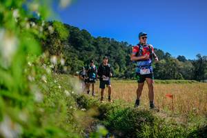 BIB: 
                            <button type="button" onclick="openModal(26580584)" class="btn btn-primary btn-sm float-right btn-popup" data-toggle="modal" data-target=".modal-high-quality">
                        <i class="fas fa-shopping-cart"></i> Add to Cart
                    </button>
                                            <button type="button" onclick="isThisMe(26580584, true)" class="btn btn-success btn-sm float-right btn-popup btn-isme hidden" data-toggle="tooltip" data-placement="bottom" title="นี่คือรูปของคุณใช่ไหม คลิกที่นี่เพื่อเอาเข้าอัลบั้ม">
                        <i class="fas fa-plus"></i> Add to album
                    </button>
                    <button type="button" onclick="isThisMe(26580584, false)" class="btn btn-warning btn-sm float-right btn-popup btn-isnotme hidden">
                        <i class="fas fa-ban"></i> Remove from album
                    </button>