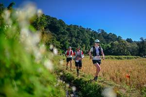 BIB: 
                            <button type="button" onclick="openModal(26572273)" class="btn btn-primary btn-sm float-right btn-popup" data-toggle="modal" data-target=".modal-high-quality">
                        <i class="fas fa-shopping-cart"></i> Add to Cart
                    </button>
                                            <button type="button" onclick="isThisMe(26572273, true)" class="btn btn-success btn-sm float-right btn-popup btn-isme hidden" data-toggle="tooltip" data-placement="bottom" title="นี่คือรูปของคุณใช่ไหม คลิกที่นี่เพื่อเอาเข้าอัลบั้ม">
                        <i class="fas fa-plus"></i> Add to album
                    </button>
                    <button type="button" onclick="isThisMe(26572273, false)" class="btn btn-warning btn-sm float-right btn-popup btn-isnotme hidden">
                        <i class="fas fa-ban"></i> Remove from album
                    </button>