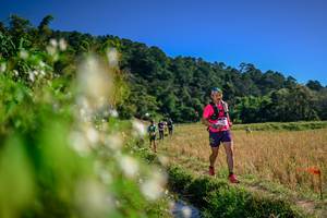 BIB: 
                            <button type="button" onclick="openModal(26575375)" class="btn btn-primary btn-sm float-right btn-popup" data-toggle="modal" data-target=".modal-high-quality">
                        <i class="fas fa-shopping-cart"></i> Add to Cart
                    </button>
                                            <button type="button" onclick="isThisMe(26575375, true)" class="btn btn-success btn-sm float-right btn-popup btn-isme hidden" data-toggle="tooltip" data-placement="bottom" title="นี่คือรูปของคุณใช่ไหม คลิกที่นี่เพื่อเอาเข้าอัลบั้ม">
                        <i class="fas fa-plus"></i> Add to album
                    </button>
                    <button type="button" onclick="isThisMe(26575375, false)" class="btn btn-warning btn-sm float-right btn-popup btn-isnotme hidden">
                        <i class="fas fa-ban"></i> Remove from album
                    </button>