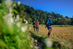 BIB: 
                            <button type="button" onclick="openModal(26572838)" class="btn btn-primary btn-sm float-right btn-popup" data-toggle="modal" data-target=".modal-high-quality">
                        <i class="fas fa-shopping-cart"></i> Add to Cart
                    </button>
                                            <button type="button" onclick="isThisMe(26572838, true)" class="btn btn-success btn-sm float-right btn-popup btn-isme hidden" data-toggle="tooltip" data-placement="bottom" title="นี่คือรูปของคุณใช่ไหม คลิกที่นี่เพื่อเอาเข้าอัลบั้ม">
                        <i class="fas fa-plus"></i> Add to album
                    </button>
                    <button type="button" onclick="isThisMe(26572838, false)" class="btn btn-warning btn-sm float-right btn-popup btn-isnotme hidden">
                        <i class="fas fa-ban"></i> Remove from album
                    </button>