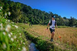 BIB: 
                            <button type="button" onclick="openModal(26575906)" class="btn btn-primary btn-sm float-right btn-popup" data-toggle="modal" data-target=".modal-high-quality">
                        <i class="fas fa-shopping-cart"></i> Add to Cart
                    </button>
                                            <button type="button" onclick="isThisMe(26575906, true)" class="btn btn-success btn-sm float-right btn-popup btn-isme hidden" data-toggle="tooltip" data-placement="bottom" title="นี่คือรูปของคุณใช่ไหม คลิกที่นี่เพื่อเอาเข้าอัลบั้ม">
                        <i class="fas fa-plus"></i> Add to album
                    </button>
                    <button type="button" onclick="isThisMe(26575906, false)" class="btn btn-warning btn-sm float-right btn-popup btn-isnotme hidden">
                        <i class="fas fa-ban"></i> Remove from album
                    </button>