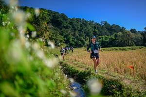 BIB: 
                            <button type="button" onclick="openModal(26574750)" class="btn btn-primary btn-sm float-right btn-popup" data-toggle="modal" data-target=".modal-high-quality">
                        <i class="fas fa-shopping-cart"></i> Add to Cart
                    </button>
                                            <button type="button" onclick="isThisMe(26574750, true)" class="btn btn-success btn-sm float-right btn-popup btn-isme hidden" data-toggle="tooltip" data-placement="bottom" title="นี่คือรูปของคุณใช่ไหม คลิกที่นี่เพื่อเอาเข้าอัลบั้ม">
                        <i class="fas fa-plus"></i> Add to album
                    </button>
                    <button type="button" onclick="isThisMe(26574750, false)" class="btn btn-warning btn-sm float-right btn-popup btn-isnotme hidden">
                        <i class="fas fa-ban"></i> Remove from album
                    </button>