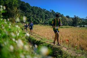 BIB: 
                            <button type="button" onclick="openModal(26576283)" class="btn btn-primary btn-sm float-right btn-popup" data-toggle="modal" data-target=".modal-high-quality">
                        <i class="fas fa-shopping-cart"></i> Add to Cart
                    </button>
                                            <button type="button" onclick="isThisMe(26576283, true)" class="btn btn-success btn-sm float-right btn-popup btn-isme hidden" data-toggle="tooltip" data-placement="bottom" title="นี่คือรูปของคุณใช่ไหม คลิกที่นี่เพื่อเอาเข้าอัลบั้ม">
                        <i class="fas fa-plus"></i> Add to album
                    </button>
                    <button type="button" onclick="isThisMe(26576283, false)" class="btn btn-warning btn-sm float-right btn-popup btn-isnotme hidden">
                        <i class="fas fa-ban"></i> Remove from album
                    </button>