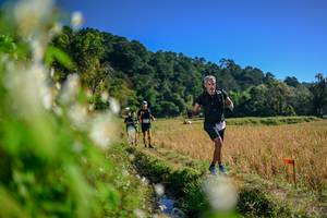 BIB: 
                            <button type="button" onclick="openModal(26572423)" class="btn btn-primary btn-sm float-right btn-popup" data-toggle="modal" data-target=".modal-high-quality">
                        <i class="fas fa-shopping-cart"></i> Add to Cart
                    </button>
                                            <button type="button" onclick="isThisMe(26572423, true)" class="btn btn-success btn-sm float-right btn-popup btn-isme hidden" data-toggle="tooltip" data-placement="bottom" title="นี่คือรูปของคุณใช่ไหม คลิกที่นี่เพื่อเอาเข้าอัลบั้ม">
                        <i class="fas fa-plus"></i> Add to album
                    </button>
                    <button type="button" onclick="isThisMe(26572423, false)" class="btn btn-warning btn-sm float-right btn-popup btn-isnotme hidden">
                        <i class="fas fa-ban"></i> Remove from album
                    </button>