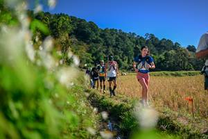 BIB: 
                            <button type="button" onclick="openModal(26573301)" class="btn btn-primary btn-sm float-right btn-popup" data-toggle="modal" data-target=".modal-high-quality">
                        <i class="fas fa-shopping-cart"></i> Add to Cart
                    </button>
                                            <button type="button" onclick="isThisMe(26573301, true)" class="btn btn-success btn-sm float-right btn-popup btn-isme hidden" data-toggle="tooltip" data-placement="bottom" title="นี่คือรูปของคุณใช่ไหม คลิกที่นี่เพื่อเอาเข้าอัลบั้ม">
                        <i class="fas fa-plus"></i> Add to album
                    </button>
                    <button type="button" onclick="isThisMe(26573301, false)" class="btn btn-warning btn-sm float-right btn-popup btn-isnotme hidden">
                        <i class="fas fa-ban"></i> Remove from album
                    </button>