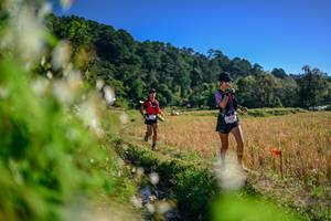 BIB: 
                            <button type="button" onclick="openModal(26572330)" class="btn btn-primary btn-sm float-right btn-popup" data-toggle="modal" data-target=".modal-high-quality">
                        <i class="fas fa-shopping-cart"></i> Add to Cart
                    </button>
                                            <button type="button" onclick="isThisMe(26572330, true)" class="btn btn-success btn-sm float-right btn-popup btn-isme hidden" data-toggle="tooltip" data-placement="bottom" title="นี่คือรูปของคุณใช่ไหม คลิกที่นี่เพื่อเอาเข้าอัลบั้ม">
                        <i class="fas fa-plus"></i> Add to album
                    </button>
                    <button type="button" onclick="isThisMe(26572330, false)" class="btn btn-warning btn-sm float-right btn-popup btn-isnotme hidden">
                        <i class="fas fa-ban"></i> Remove from album
                    </button>