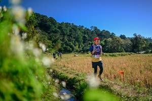 BIB: 
                            <button type="button" onclick="openModal(26574741)" class="btn btn-primary btn-sm float-right btn-popup" data-toggle="modal" data-target=".modal-high-quality">
                        <i class="fas fa-shopping-cart"></i> Add to Cart
                    </button>
                                            <button type="button" onclick="isThisMe(26574741, true)" class="btn btn-success btn-sm float-right btn-popup btn-isme hidden" data-toggle="tooltip" data-placement="bottom" title="นี่คือรูปของคุณใช่ไหม คลิกที่นี่เพื่อเอาเข้าอัลบั้ม">
                        <i class="fas fa-plus"></i> Add to album
                    </button>
                    <button type="button" onclick="isThisMe(26574741, false)" class="btn btn-warning btn-sm float-right btn-popup btn-isnotme hidden">
                        <i class="fas fa-ban"></i> Remove from album
                    </button>