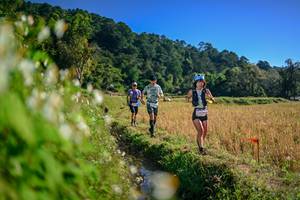 BIB: 
                            <button type="button" onclick="openModal(26571574)" class="btn btn-primary btn-sm float-right btn-popup" data-toggle="modal" data-target=".modal-high-quality">
                        <i class="fas fa-shopping-cart"></i> Add to Cart
                    </button>
                                            <button type="button" onclick="isThisMe(26571574, true)" class="btn btn-success btn-sm float-right btn-popup btn-isme hidden" data-toggle="tooltip" data-placement="bottom" title="นี่คือรูปของคุณใช่ไหม คลิกที่นี่เพื่อเอาเข้าอัลบั้ม">
                        <i class="fas fa-plus"></i> Add to album
                    </button>
                    <button type="button" onclick="isThisMe(26571574, false)" class="btn btn-warning btn-sm float-right btn-popup btn-isnotme hidden">
                        <i class="fas fa-ban"></i> Remove from album
                    </button>