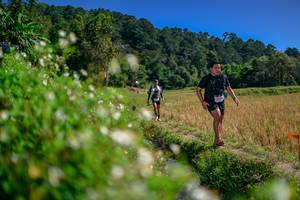 BIB: 
                            <button type="button" onclick="openModal(26581886)" class="btn btn-primary btn-sm float-right btn-popup" data-toggle="modal" data-target=".modal-high-quality">
                        <i class="fas fa-shopping-cart"></i> Add to Cart
                    </button>
                                            <button type="button" onclick="isThisMe(26581886, true)" class="btn btn-success btn-sm float-right btn-popup btn-isme hidden" data-toggle="tooltip" data-placement="bottom" title="นี่คือรูปของคุณใช่ไหม คลิกที่นี่เพื่อเอาเข้าอัลบั้ม">
                        <i class="fas fa-plus"></i> Add to album
                    </button>
                    <button type="button" onclick="isThisMe(26581886, false)" class="btn btn-warning btn-sm float-right btn-popup btn-isnotme hidden">
                        <i class="fas fa-ban"></i> Remove from album
                    </button>