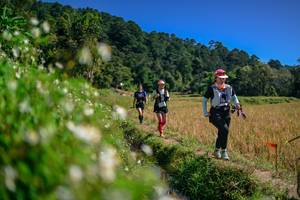 BIB: 
                            <button type="button" onclick="openModal(26583036)" class="btn btn-primary btn-sm float-right btn-popup" data-toggle="modal" data-target=".modal-high-quality">
                        <i class="fas fa-shopping-cart"></i> Add to Cart
                    </button>
                                            <button type="button" onclick="isThisMe(26583036, true)" class="btn btn-success btn-sm float-right btn-popup btn-isme hidden" data-toggle="tooltip" data-placement="bottom" title="นี่คือรูปของคุณใช่ไหม คลิกที่นี่เพื่อเอาเข้าอัลบั้ม">
                        <i class="fas fa-plus"></i> Add to album
                    </button>
                    <button type="button" onclick="isThisMe(26583036, false)" class="btn btn-warning btn-sm float-right btn-popup btn-isnotme hidden">
                        <i class="fas fa-ban"></i> Remove from album
                    </button>