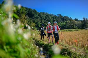 BIB: 
                            <button type="button" onclick="openModal(26573553)" class="btn btn-primary btn-sm float-right btn-popup" data-toggle="modal" data-target=".modal-high-quality">
                        <i class="fas fa-shopping-cart"></i> Add to Cart
                    </button>
                                            <button type="button" onclick="isThisMe(26573553, true)" class="btn btn-success btn-sm float-right btn-popup btn-isme hidden" data-toggle="tooltip" data-placement="bottom" title="นี่คือรูปของคุณใช่ไหม คลิกที่นี่เพื่อเอาเข้าอัลบั้ม">
                        <i class="fas fa-plus"></i> Add to album
                    </button>
                    <button type="button" onclick="isThisMe(26573553, false)" class="btn btn-warning btn-sm float-right btn-popup btn-isnotme hidden">
                        <i class="fas fa-ban"></i> Remove from album
                    </button>