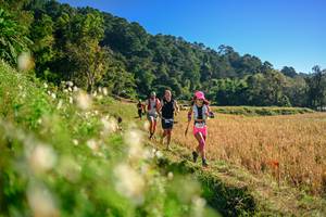 BIB: 
                            <button type="button" onclick="openModal(26570647)" class="btn btn-primary btn-sm float-right btn-popup" data-toggle="modal" data-target=".modal-high-quality">
                        <i class="fas fa-shopping-cart"></i> Add to Cart
                    </button>
                                            <button type="button" onclick="isThisMe(26570647, true)" class="btn btn-success btn-sm float-right btn-popup btn-isme hidden" data-toggle="tooltip" data-placement="bottom" title="นี่คือรูปของคุณใช่ไหม คลิกที่นี่เพื่อเอาเข้าอัลบั้ม">
                        <i class="fas fa-plus"></i> Add to album
                    </button>
                    <button type="button" onclick="isThisMe(26570647, false)" class="btn btn-warning btn-sm float-right btn-popup btn-isnotme hidden">
                        <i class="fas fa-ban"></i> Remove from album
                    </button>