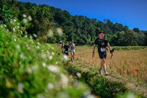 BIB: 
                            <button type="button" onclick="openModal(26582146)" class="btn btn-primary btn-sm float-right btn-popup" data-toggle="modal" data-target=".modal-high-quality">
                        <i class="fas fa-shopping-cart"></i> Add to Cart
                    </button>
                                            <button type="button" onclick="isThisMe(26582146, true)" class="btn btn-success btn-sm float-right btn-popup btn-isme hidden" data-toggle="tooltip" data-placement="bottom" title="นี่คือรูปของคุณใช่ไหม คลิกที่นี่เพื่อเอาเข้าอัลบั้ม">
                        <i class="fas fa-plus"></i> Add to album
                    </button>
                    <button type="button" onclick="isThisMe(26582146, false)" class="btn btn-warning btn-sm float-right btn-popup btn-isnotme hidden">
                        <i class="fas fa-ban"></i> Remove from album
                    </button>